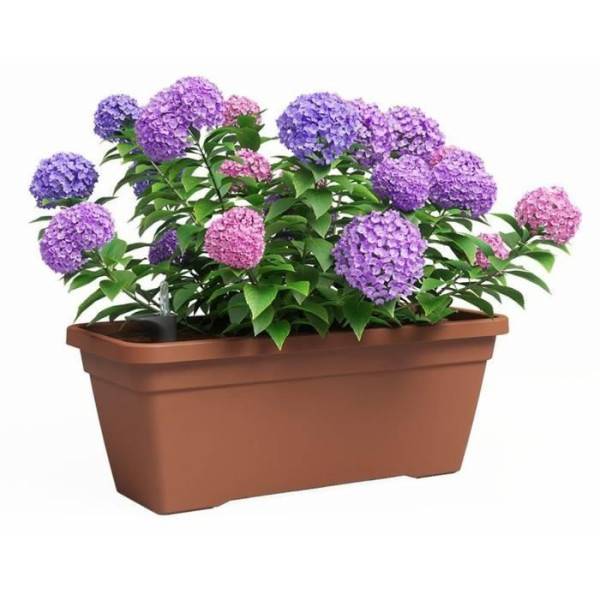 Jardiniere - Plastique - Terre Cuite - Rectangulaire - L57,9 X P24,3 X H22cm - Artevasi - Image 2