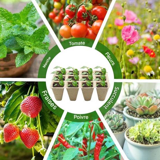 Lot de 10 Pots de Semis avec Étiquettes et Outils - IntiMeg - Image 5
