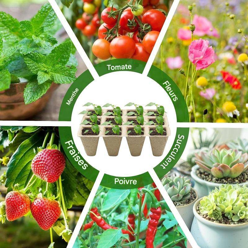 Lot de 10 Pots de Semis avec Étiquettes et Outils - IntiMeg - Image 5