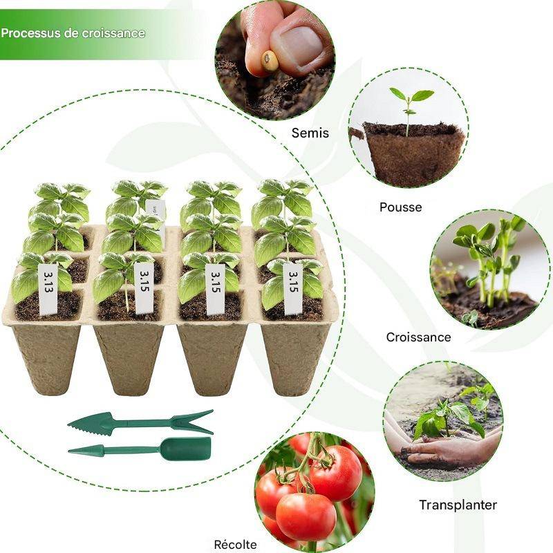 Lot de 10 Pots de Semis avec Étiquettes et Outils - IntiMeg - Image 3