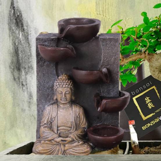 0 - Bonsaï Forme S - Cascade Bouddha - incl. Ciseaux et Aliment - Image 3