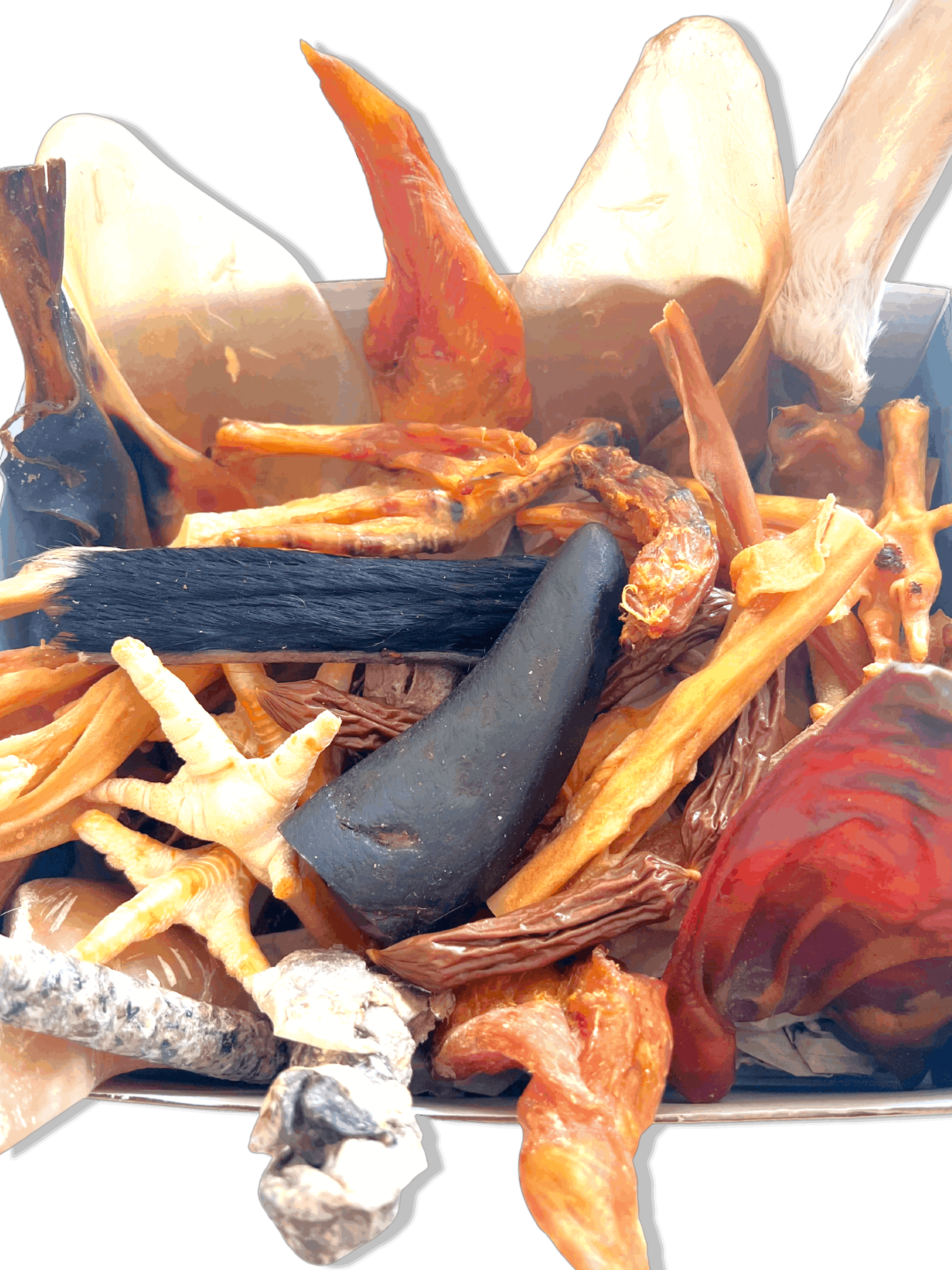 Box de Friandises Naturelles | Chiots et Petits Chiens - Image 3
