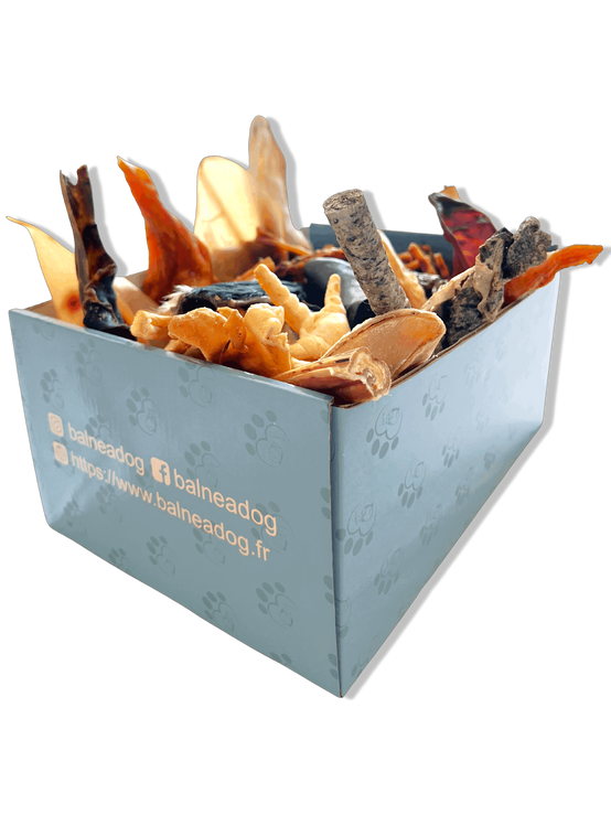 Box de Friandises Naturelles | Chiots et Petits Chiens - Image 1