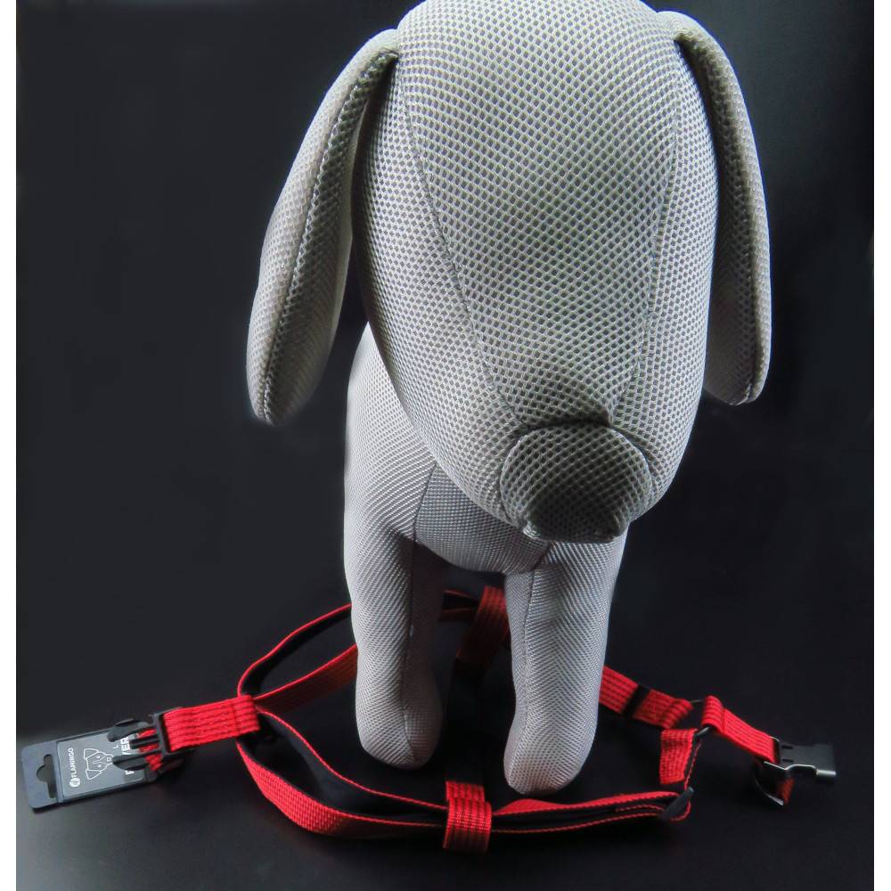 Flamingo - Harnais Jannu  L 40-70 cm 25 mm  rouge pour chien - Image 2