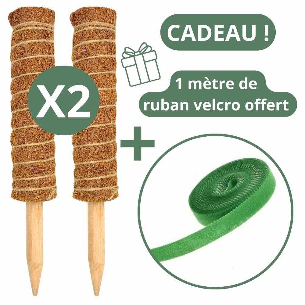 Lot X2 Tuteurs empilables pour plantes en fibres de coco + 1m ruban velcro Offert - Support pour plantes grimpantes - Image 4