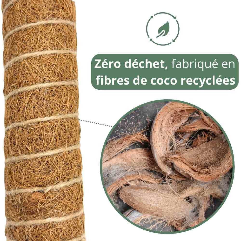 Lot X2 Tuteurs empilables pour plantes en fibres de coco + 1m ruban velcro Offert - Support pour plantes grimpantes - Image 7