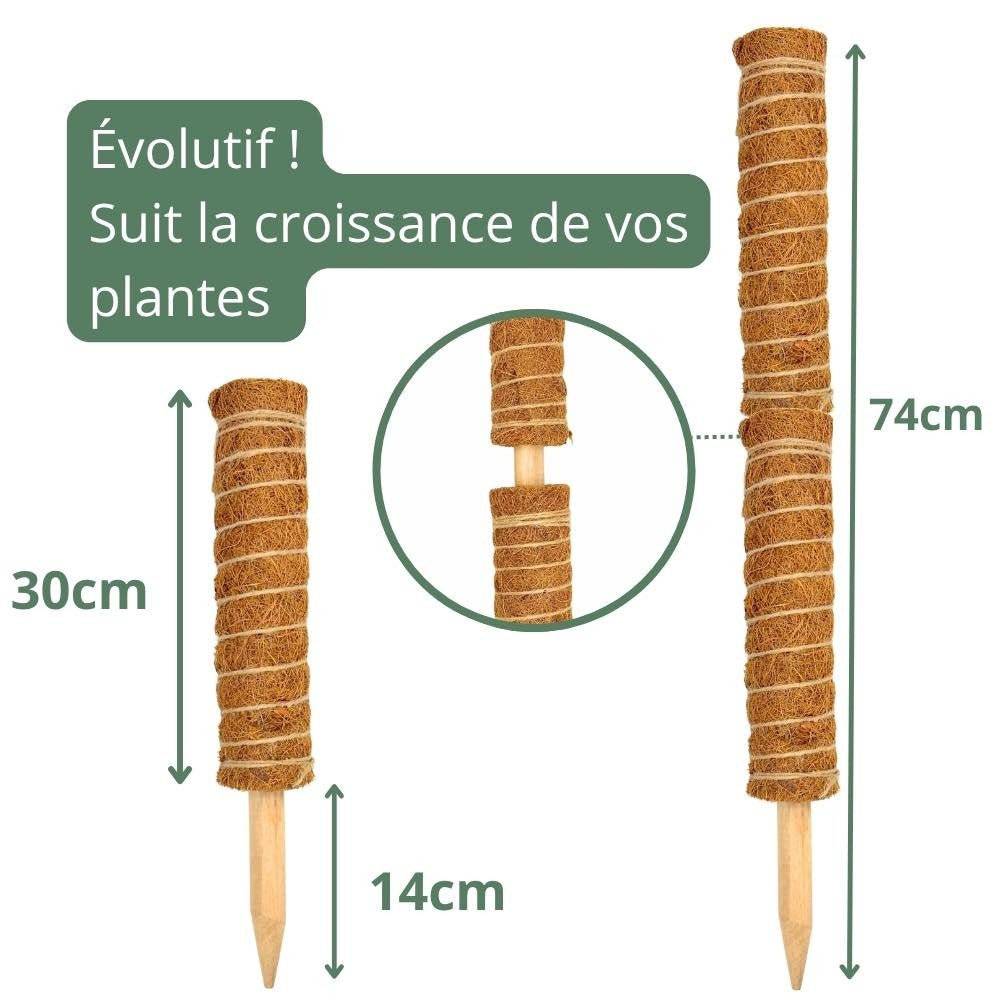 Lot X2 Tuteurs empilables pour plantes en fibres de coco + 1m ruban velcro Offert - Support pour plantes grimpantes - Image 6