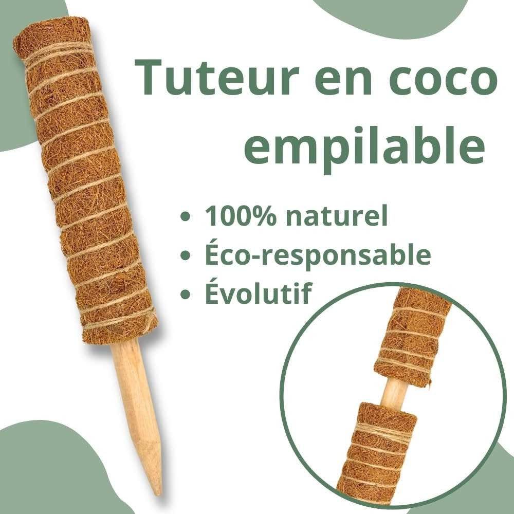 Lot X2 Tuteurs empilables pour plantes en fibres de coco + 1m ruban velcro Offert - Support pour plantes grimpantes - Image 3
