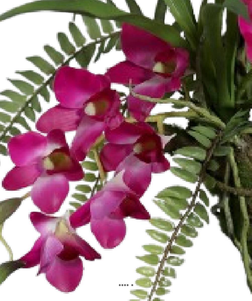 Artificielles - Orchidée Dendrobium en Latex sur branche à suspendre L50cm RoseSoutenu - couleur: Rose soutenu - Image 3