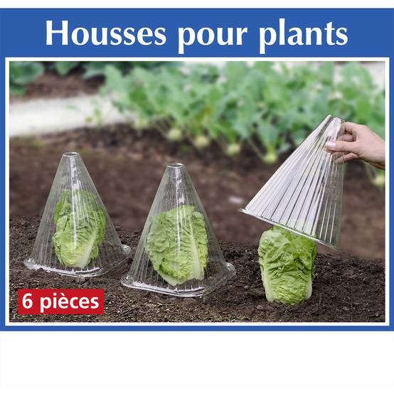 Sans Marque - 6 Housses pour plants - Wenko - Image 2