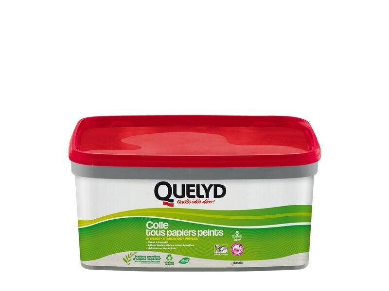 Quelyd - Colle Pate tous papiers peints QUELYD, 3 kg