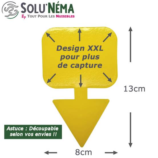 Solunéma - Kit Nématodes 10 millions + 20 pièges collants XXL - Contre Les Mouches du Terreau - Formulation Gel Longue Durée pour traiter 50 pots - Image 3