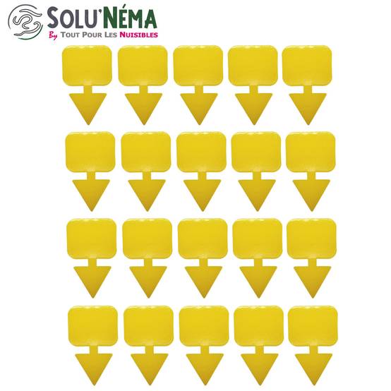 Solunéma - Kit Nématodes 10 millions + 20 pièges collants XXL - Contre Les Mouches du Terreau - Formulation Gel Longue Durée pour traiter 50 pots - Image 2
