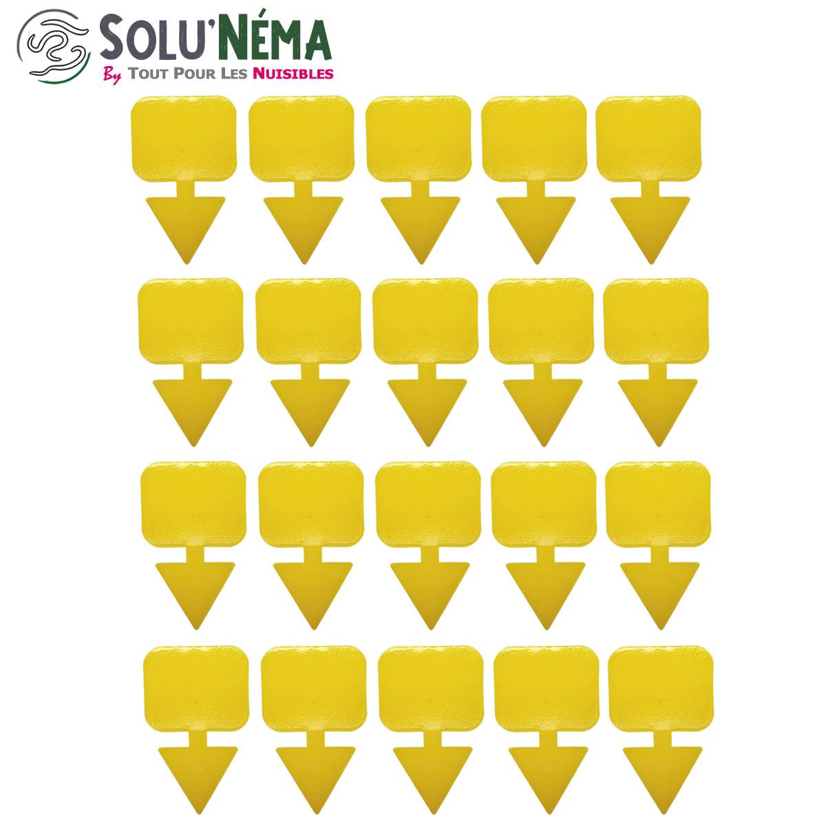 Solunéma - Kit Nématodes 10 millions + 20 pièges collants XXL - Contre Les Mouches du Terreau - Formulation Gel Longue Durée pour traiter 50 pots - Image 2