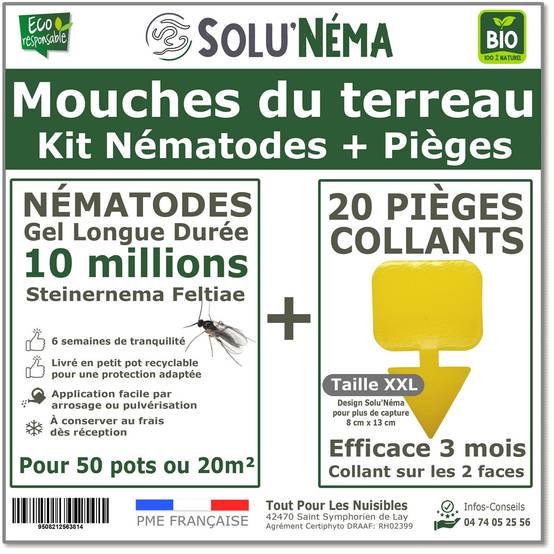 Solunéma - Kit Nématodes 10 millions + 20 pièges collants XXL - Contre Les Mouches du Terreau - Formulation Gel Longue Durée pour traiter 50 pots - Image 1