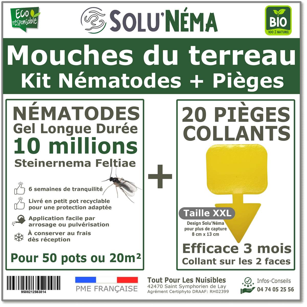 Solunéma - Kit Nématodes 10 millions + 20 pièges collants XXL - Contre Les Mouches du Terreau - Formulation Gel Longue Durée pour traiter 50 pots - Image 1