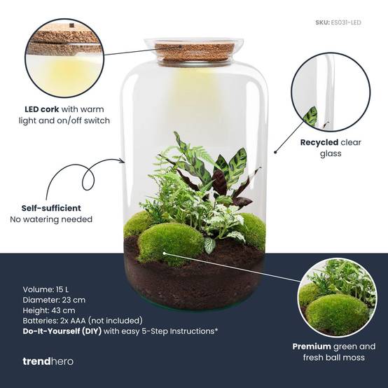 Terrarium à composer bouteille en verre recyclé - Ø23-H43cm - sans outils - Terrarium DIY - Image 3