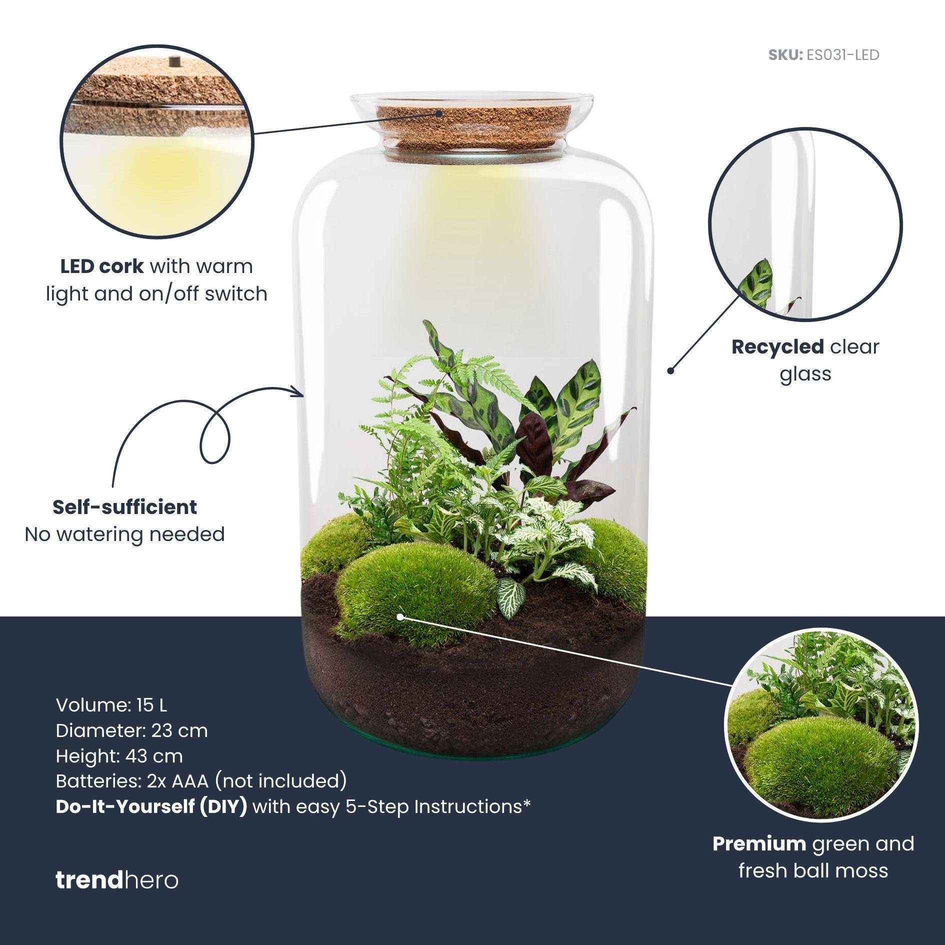 Terrarium à composer bouteille en verre recyclé - Ø23-H43cm - sans outils - Terrarium DIY - Image 3