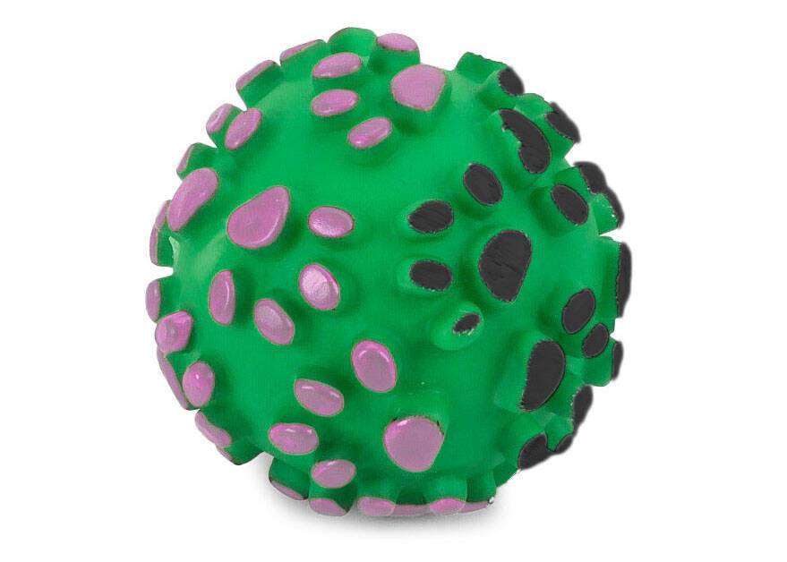 Objet chien couineur balle de dentition caoutchouc couleurs - Image 6