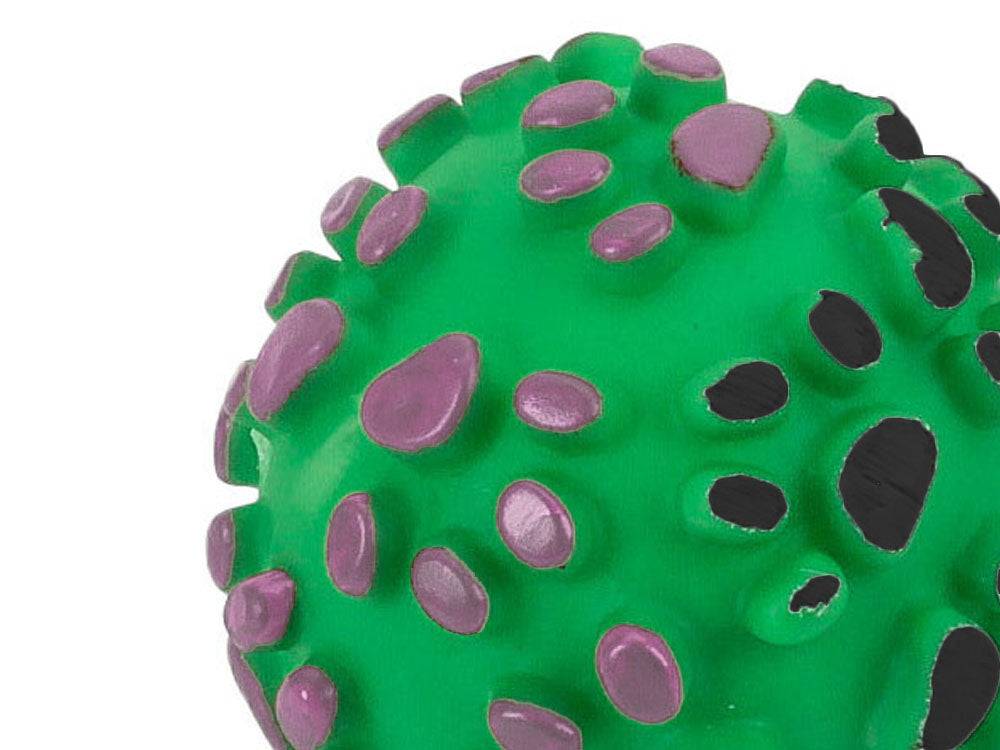 Objet chien couineur balle de dentition caoutchouc couleurs - Image 3