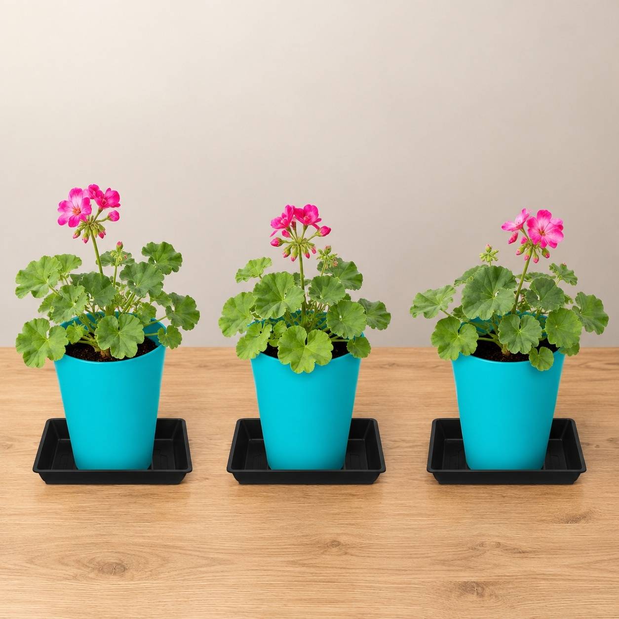 12 Soucoupes Plastique Rectangulaires pour Plantes Balcon Intérieur Extérieur - Image 5