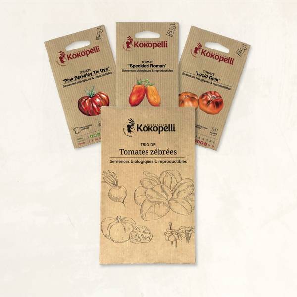 Tomates zébrées - 3 sachets de graines bio à semer- Association Kokopelli - Image 2