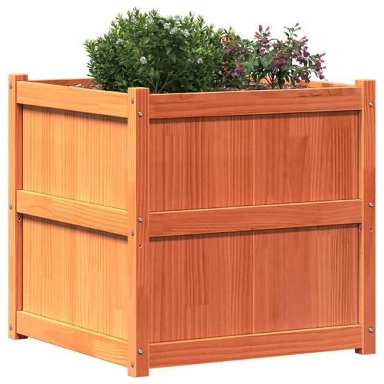 Jardinière | Pot de fleurs | Cache-pot | Bac à fleurs cire marron 70x70x70 cm bois de pin massif - Image 4