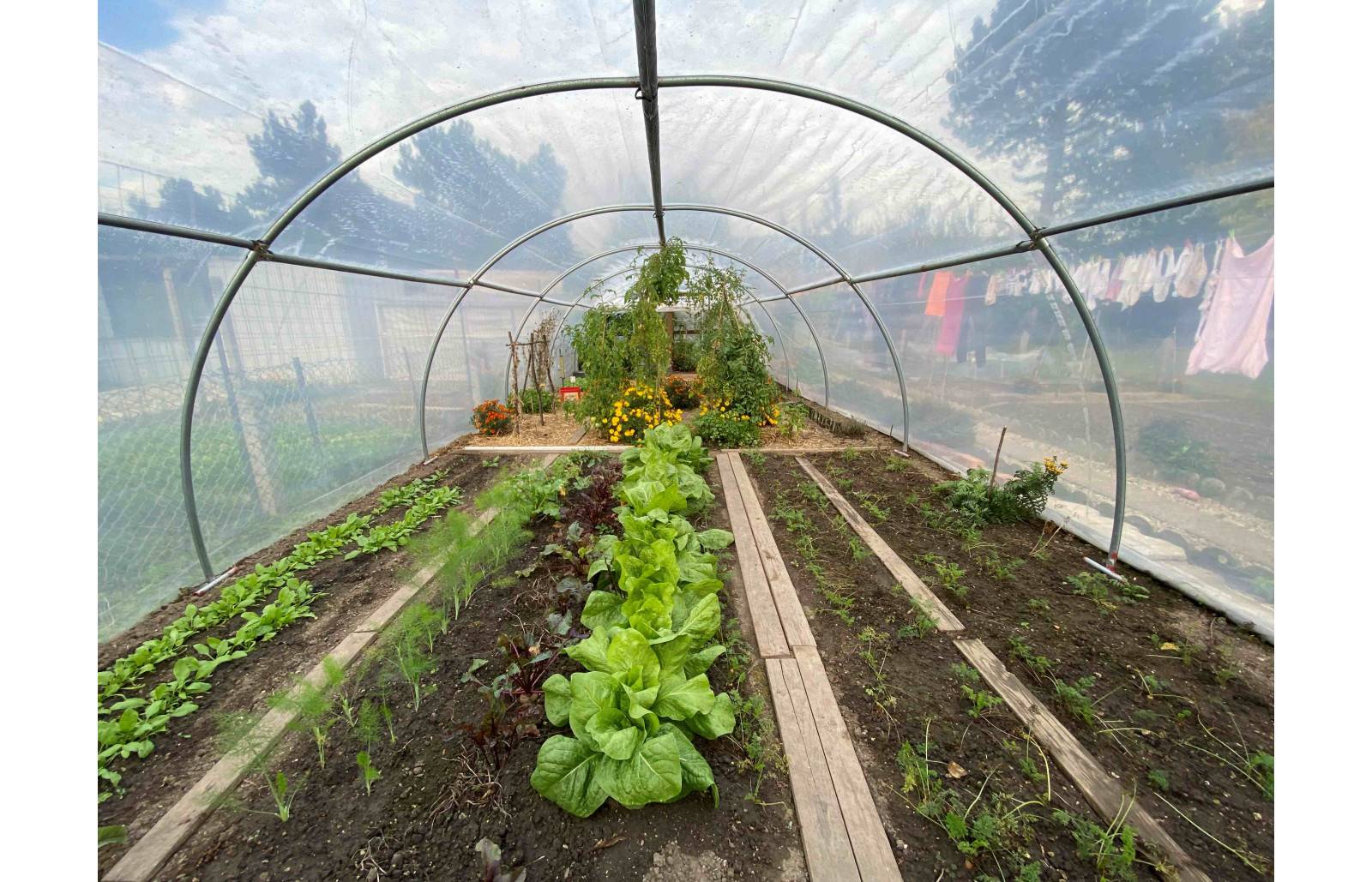 Serre tunnel de jardin - 48m² - 4 x 12 m - Abri Légumes - pieds arrondis - polyéthylène haute densité - 2 portes pivotantes - LES SERRES TONNEAU - Image 8