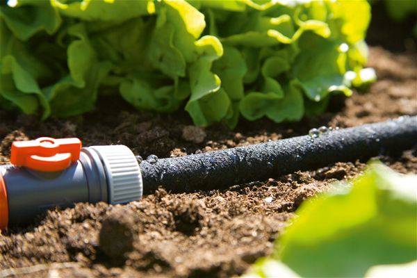 Gardena - Tuyau d'arrosage micro-poreux 100 m non équipé Gardena - Image 2