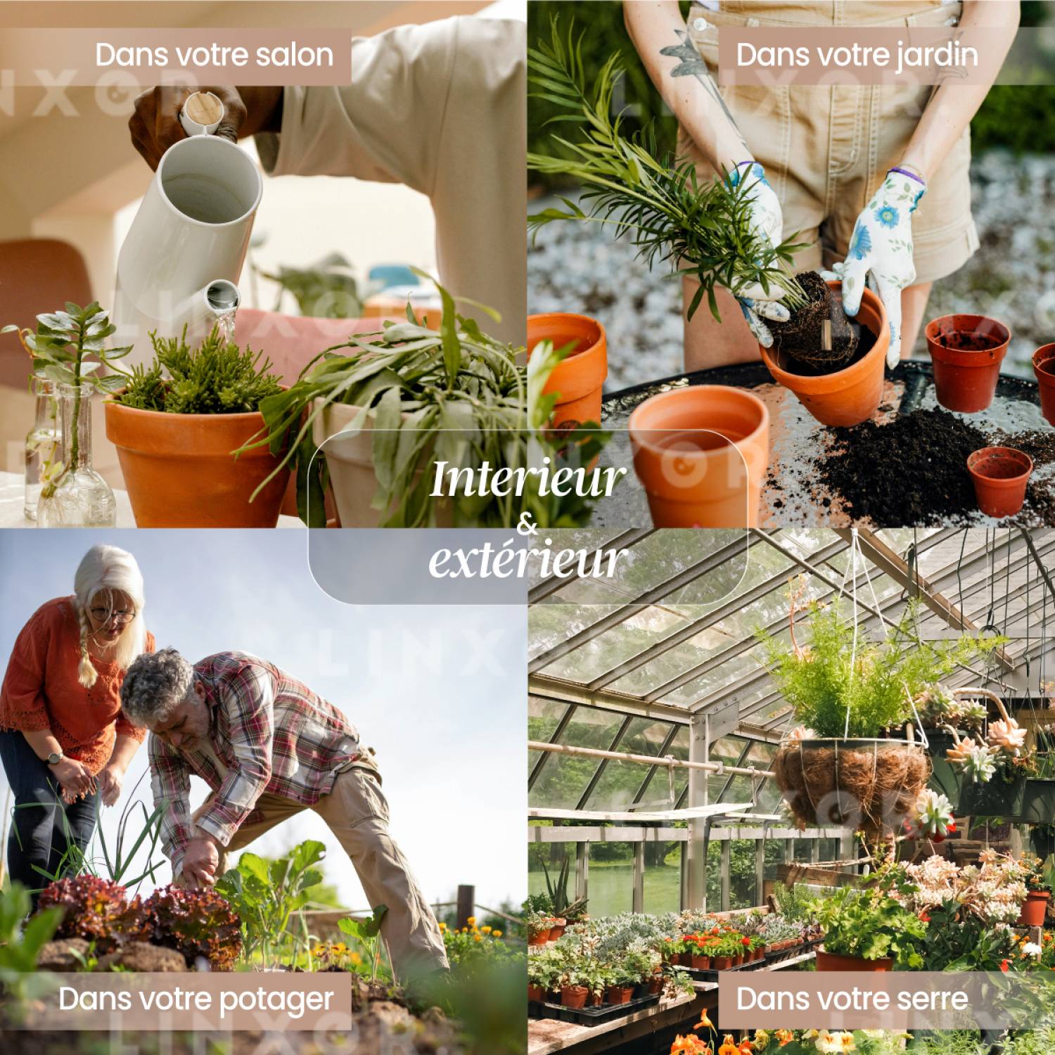 Linxor - Testeur, capteur d'humidité, hygromètre pour plante ou sol - Linxor - Image 6