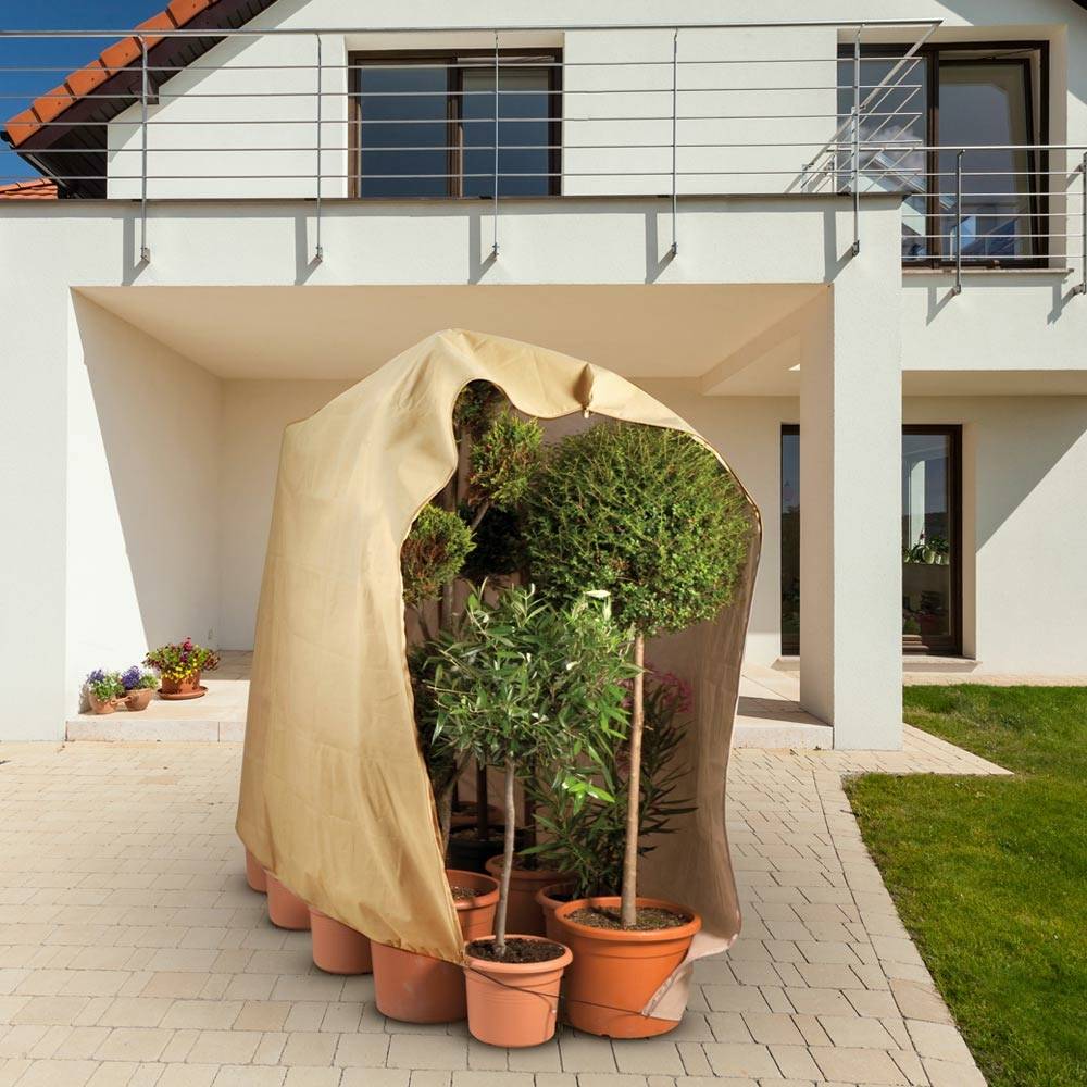 Housse d'hivernage large pour plante 200 x 240 Beige - Image 8
