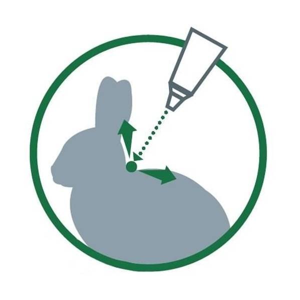 Advantage - ADVANTAGE Solution Antipuce Chat Lapin +4kg 4 pipettes - Image 6