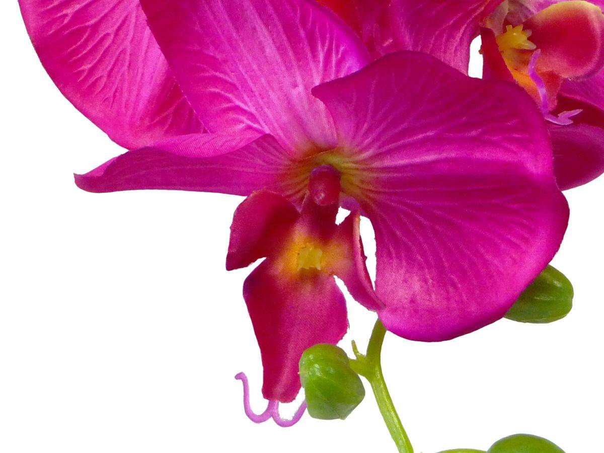 Artificielles - Orchidee Tao factice H105cm 8 fleurons 5boutons de qualité Rose fushia - couleur: Rose fushia 730 - Image 2
