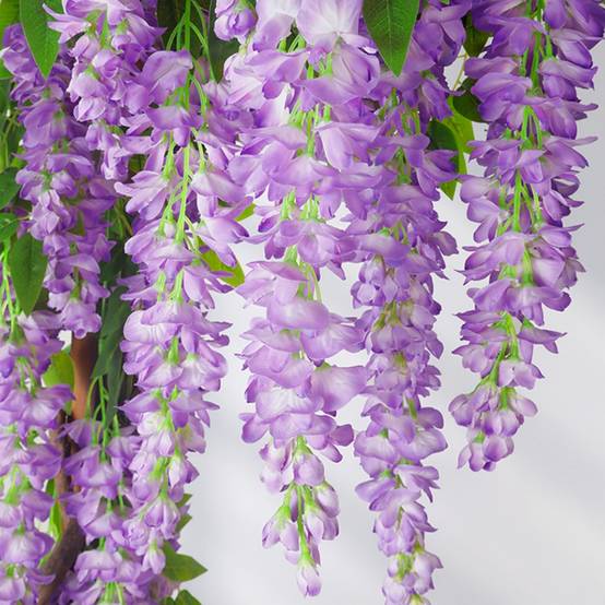 Décoration Plafond Glycine et Cassia Artificielles Violet - Lot de 2 - Fleurs Réalistes Sans Entretien - Lytech - Image 1