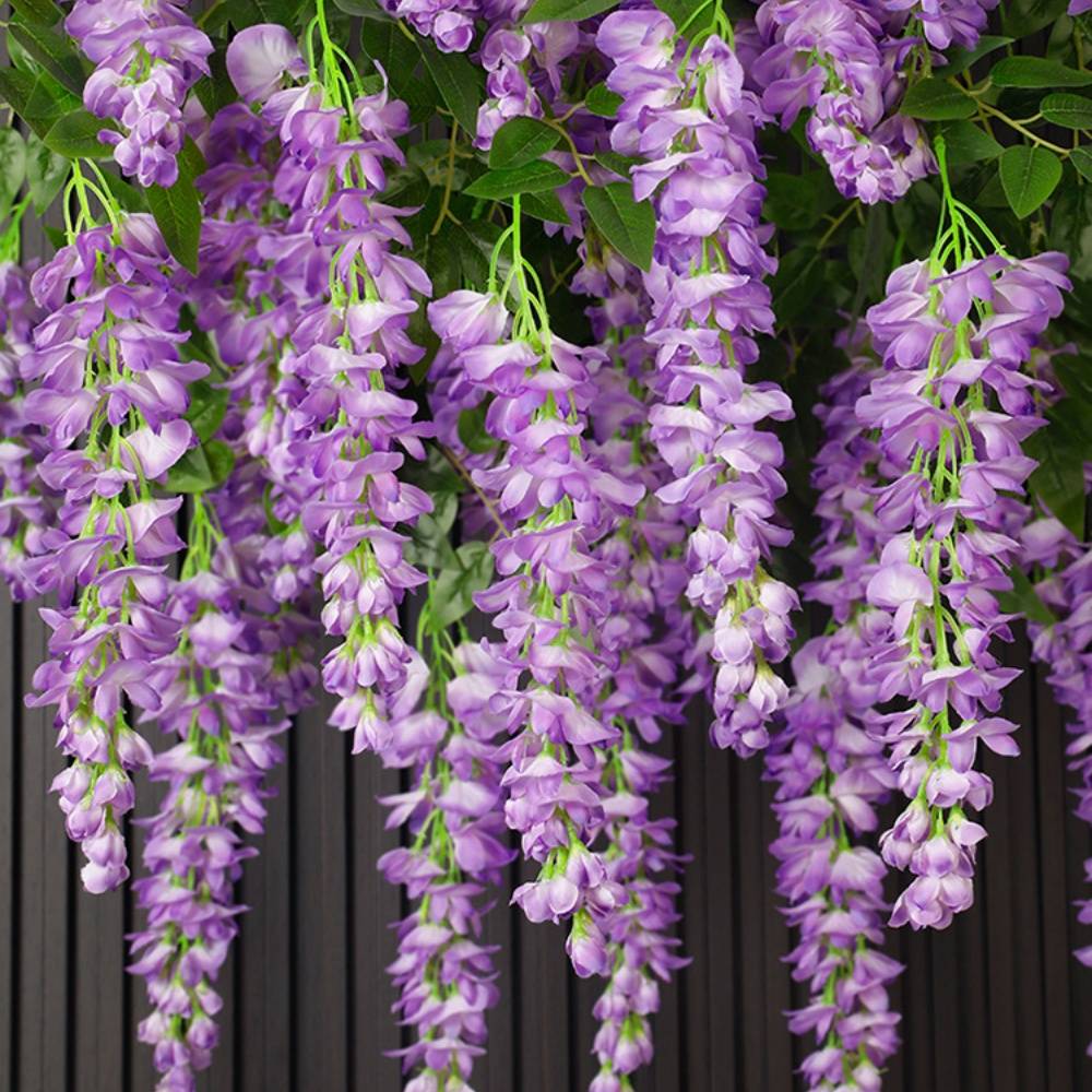 Décoration Plafond Glycine et Cassia Artificielles Violet - Lot de 2 - Fleurs Réalistes Sans Entretien - Lytech - Image 4