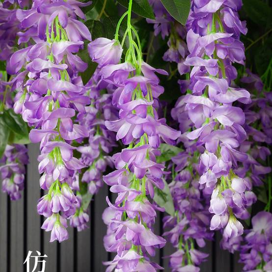 Décoration Plafond Glycine et Cassia Artificielles Violet - Lot de 2 - Fleurs Réalistes Sans Entretien - Lytech - Image 5