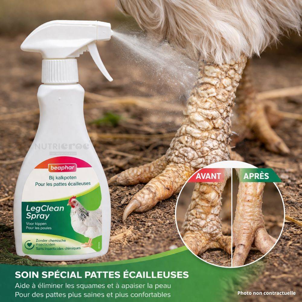 Spray Pattes Poules Ecailleuses Beaphar LegClean 250 ml 250 - Image 2