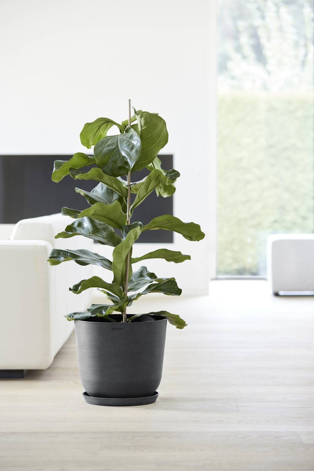 Ecopots - Pot Rond Oslo 35 Gris Foncé - Ø 35 x H. 30,5 cm - 21,7 L ECOPOTS - Image 3
