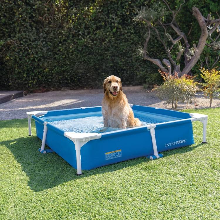 Piscine tubulaire carrée pour animaux - Intex - Image 4