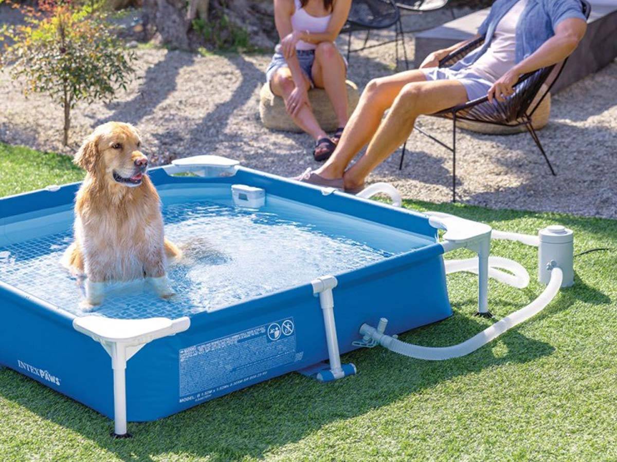 Piscine tubulaire carrée pour animaux - Intex - Image 2
