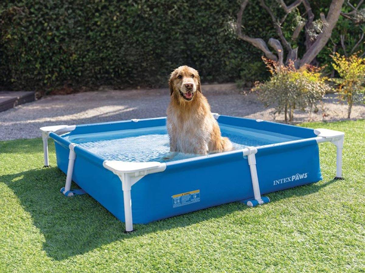 Piscine tubulaire carrée pour animaux - Intex - Image 3