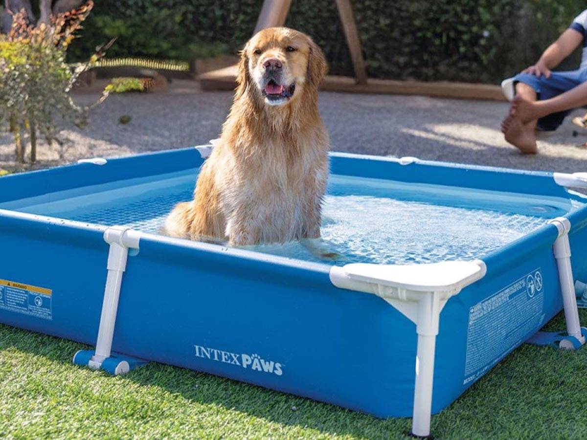 Piscine tubulaire carrée pour animaux - Intex - Image 5