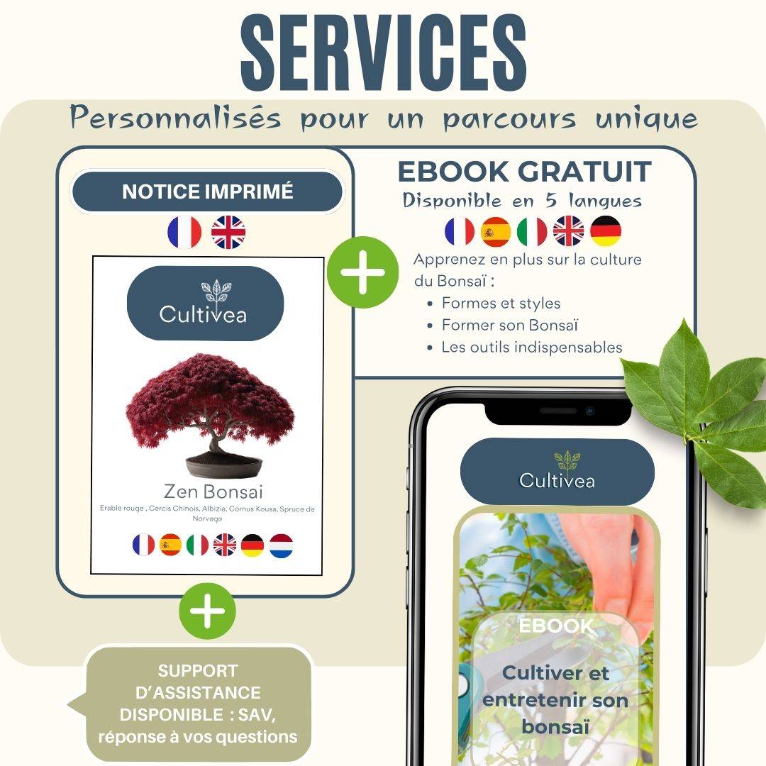 CULTIVEA® - Kit Prêt à Pousser 6 Bonsaïs avec accessoires - Image 4