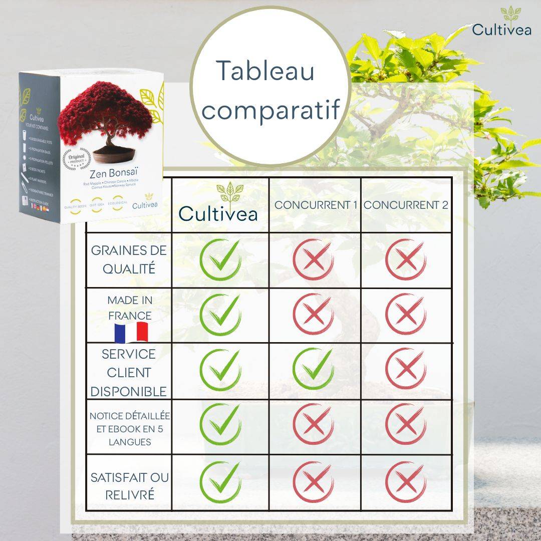 CULTIVEA® - Kit Prêt à Pousser 6 Bonsaïs avec accessoires - Image 6