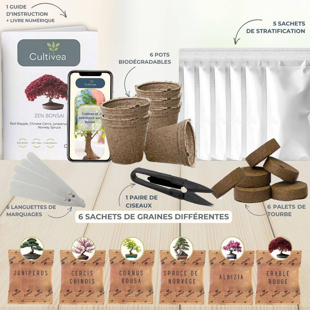 CULTIVEA® - Kit Prêt à Pousser 6 Bonsaïs avec accessoires - Image 2