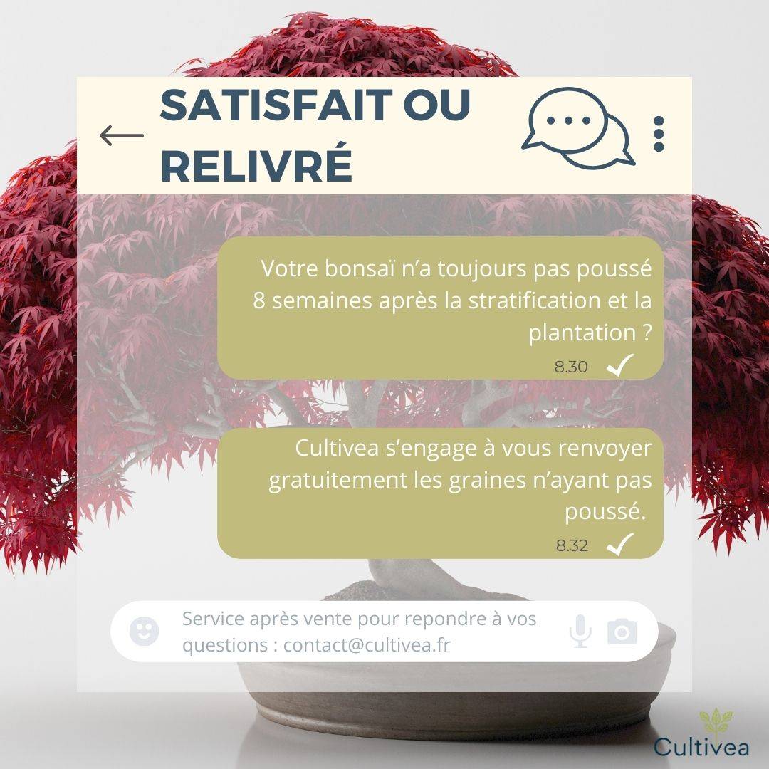CULTIVEA® - Kit Prêt à Pousser 6 Bonsaïs avec accessoires - Image 7