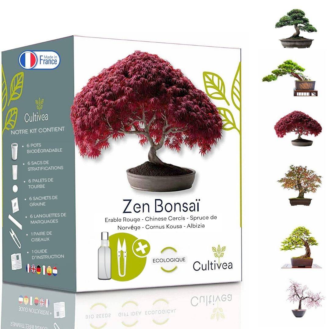 CULTIVEA® - Kit Prêt à Pousser 6 Bonsaïs avec accessoires - Image 1