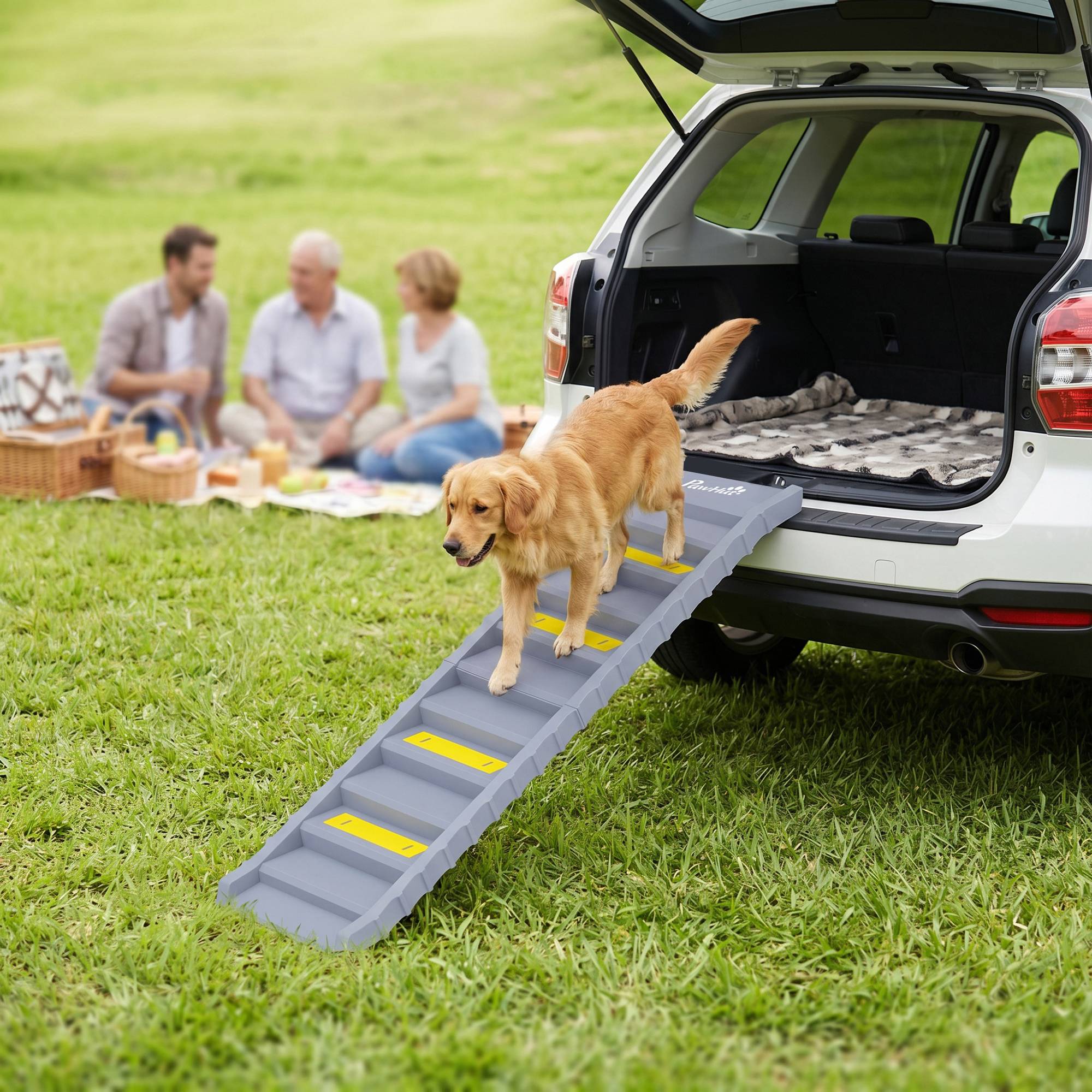 ComfortXL - Rampe pliable pour chien en PP et TPR gris 154 x 40 cm pour voiture et lit haut 10 marches antidérapantes - Image 8
