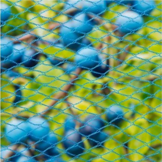 Filet anti-oiseaux Nano bleu - 2m - 5m - Image 1
