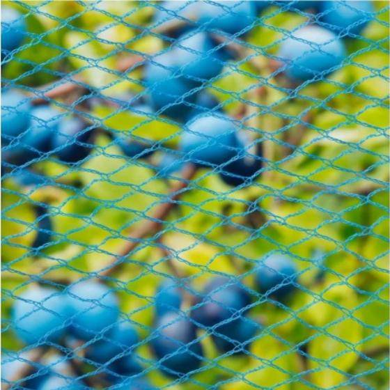 Filet anti-oiseaux Nano bleu - 2m - 5m